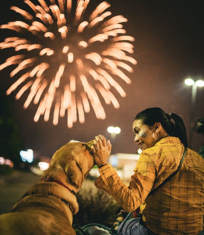 fireworks night and dogs